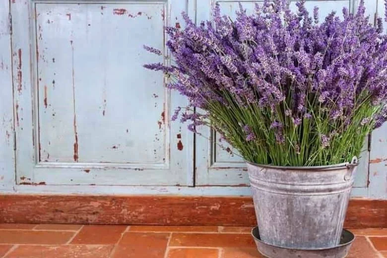 13. Bonita maceta DIY de lavanda para terraza en primavera