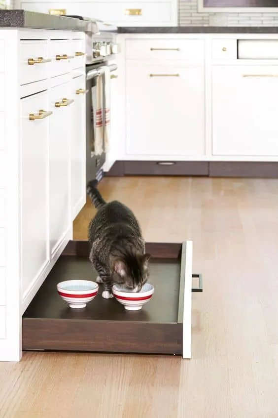 Modern Collection of Pet Furniture for Happy Living