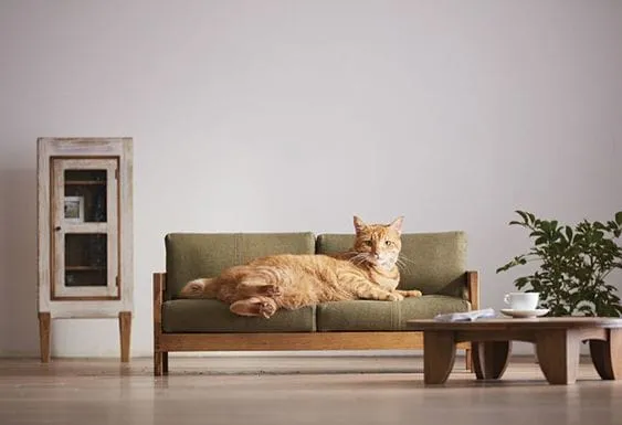 Modern Collection of Pet Furniture for Happy Living