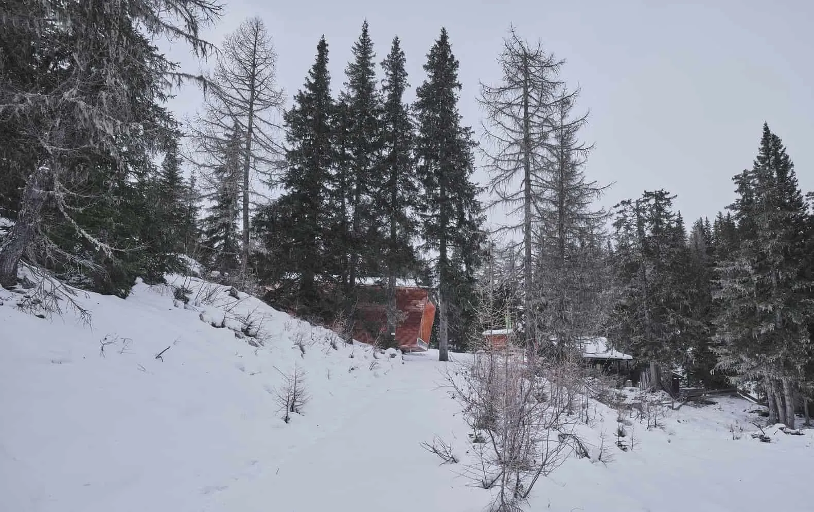 Fraganter Youth Hut | Imgang Architekten | Flattach, Austria