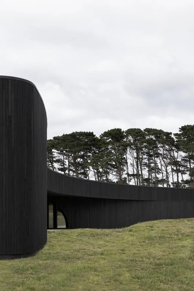 Main corridor with soft curves leading to private areas