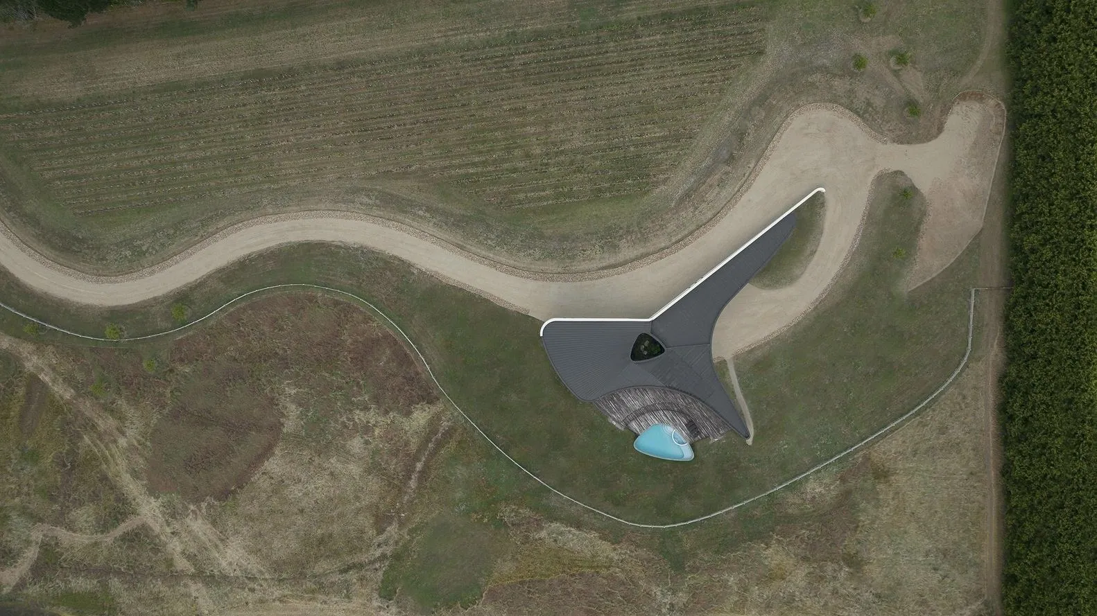 Covered terrace and northern openings blending indoor and outdoor life