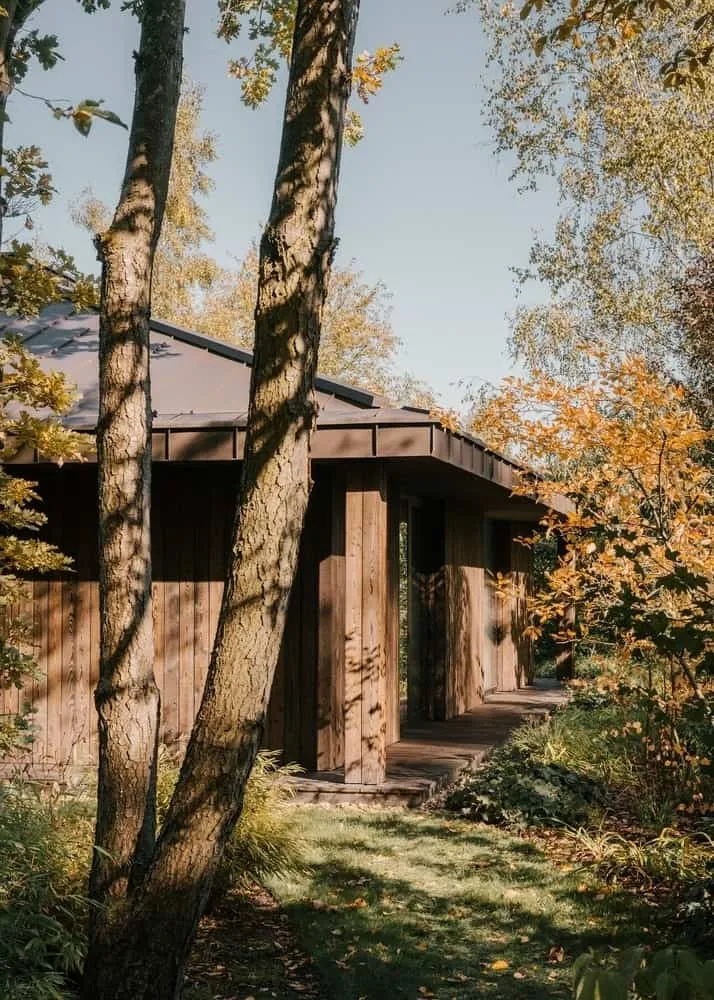 延伸的屋檐与木柱形成面向森林的遮蔽休憩空间。