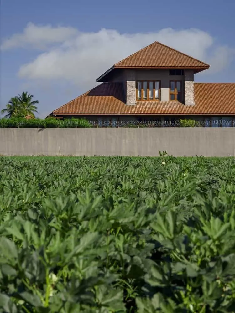 Central courtyard with stone mosaic, shaded edges and opening into halls.