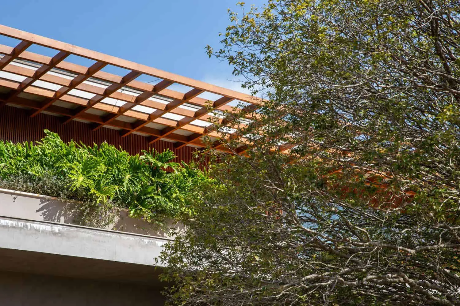 布朗宁斯之家由帕布洛·兰萨建筑事务所设计——门廊与花坛细节，伊图