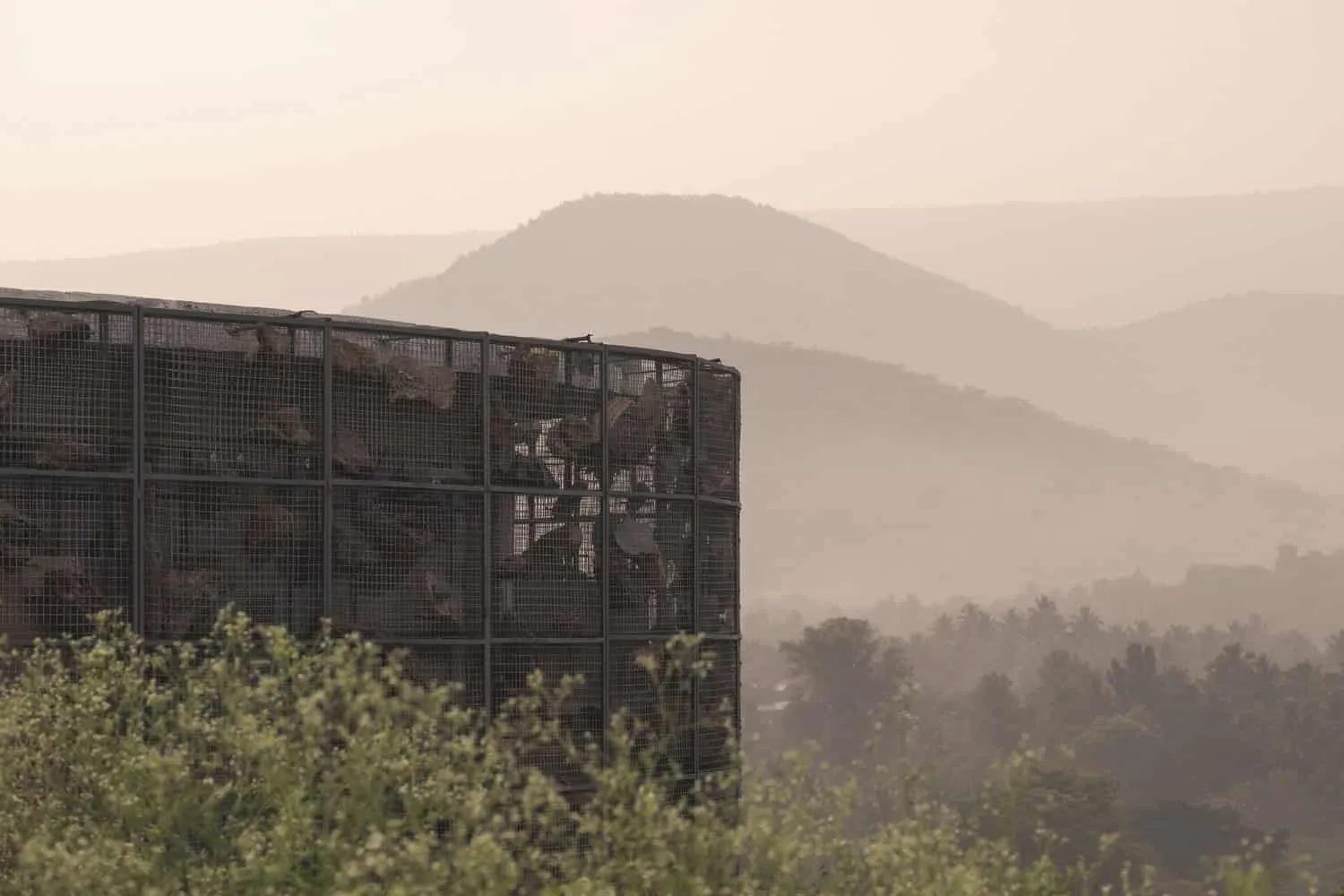 Infinite Rise House | Earthscape Studio | Anikatti, India