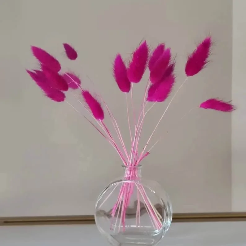 4. Composición con conejo en rosa intenso