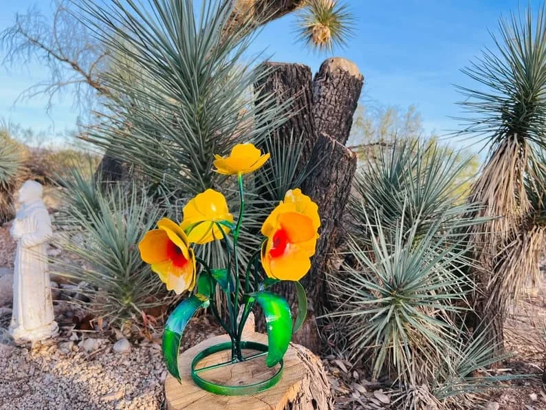 8. Ramo para el patio