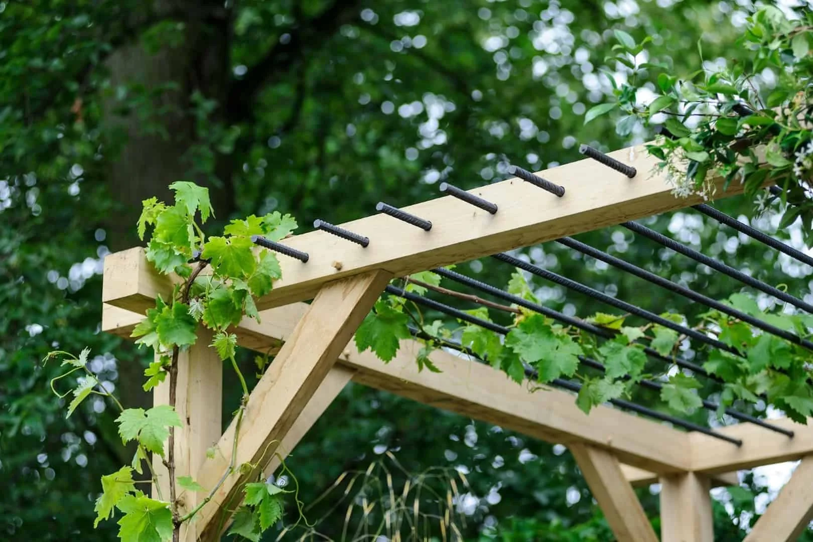 12. Pergola para plantas y enredaderas