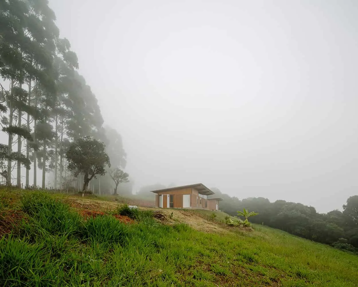 Patio Guapuruvu House | Estudio Piloti Arquitetura | Camanducaia, Brazil