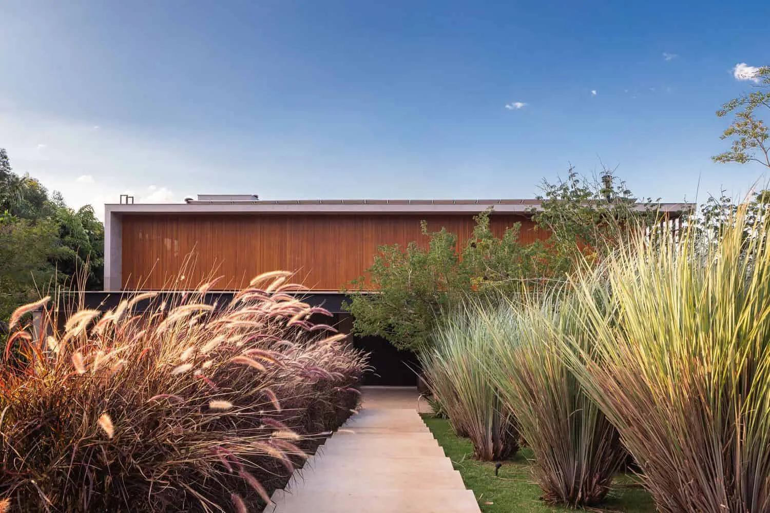 布朗宁斯之家由帕布洛·兰萨建筑事务所设计——装饰芦苇入口路径，伊图