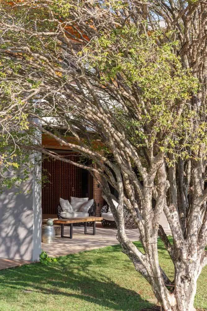 布朗宁斯之家由帕布洛·兰萨建筑事务所设计——树下花园休闲区，伊图