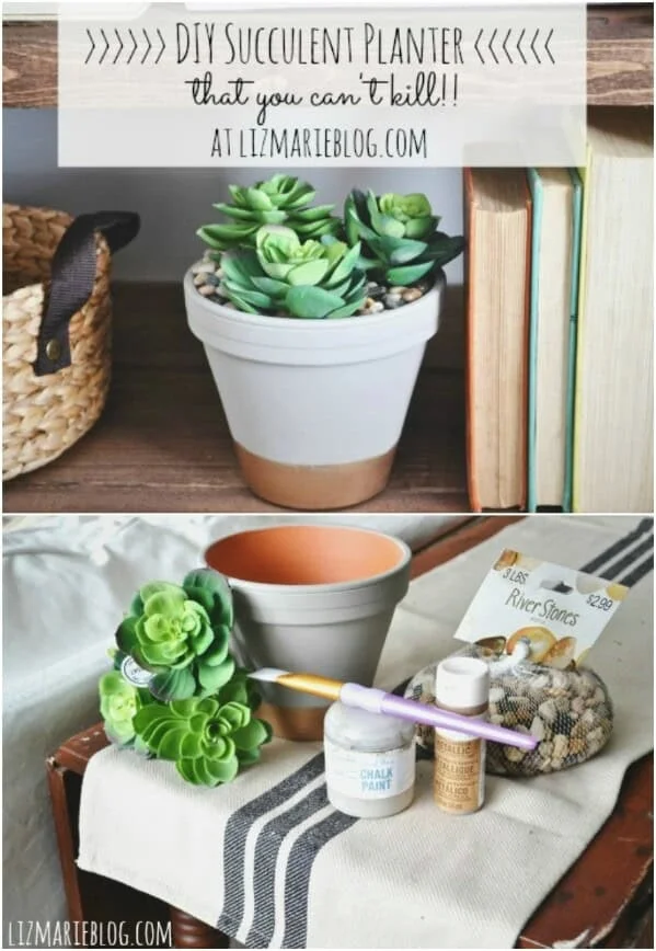 6. Macetero decorativo para suculentas DIY