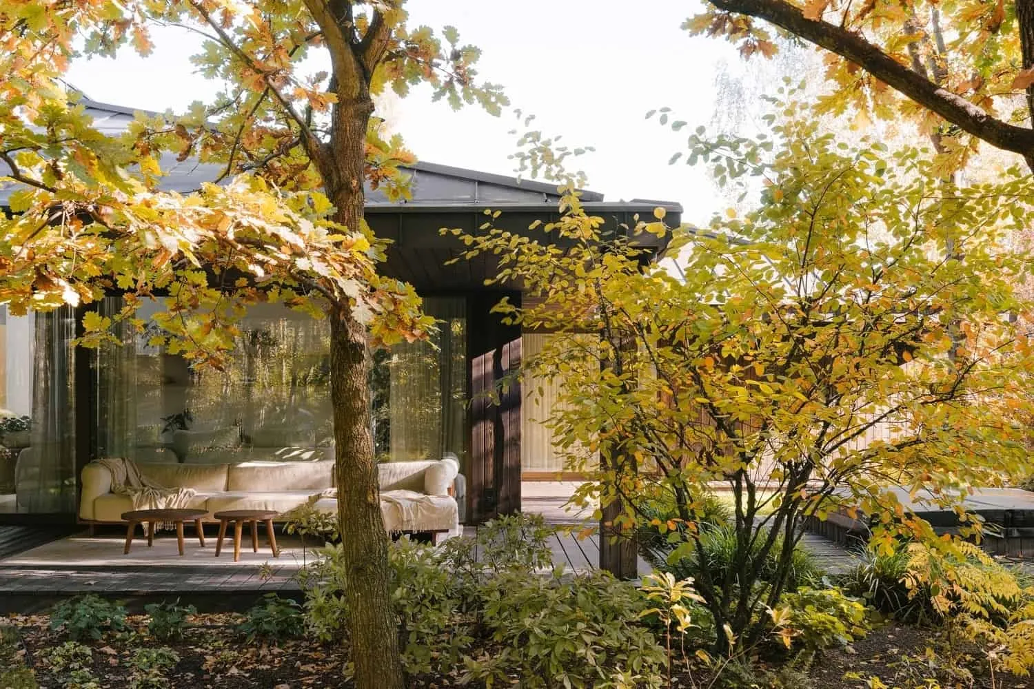 开放式的起居与餐厅空间，通过滑动门通向露台，可见森林景色。