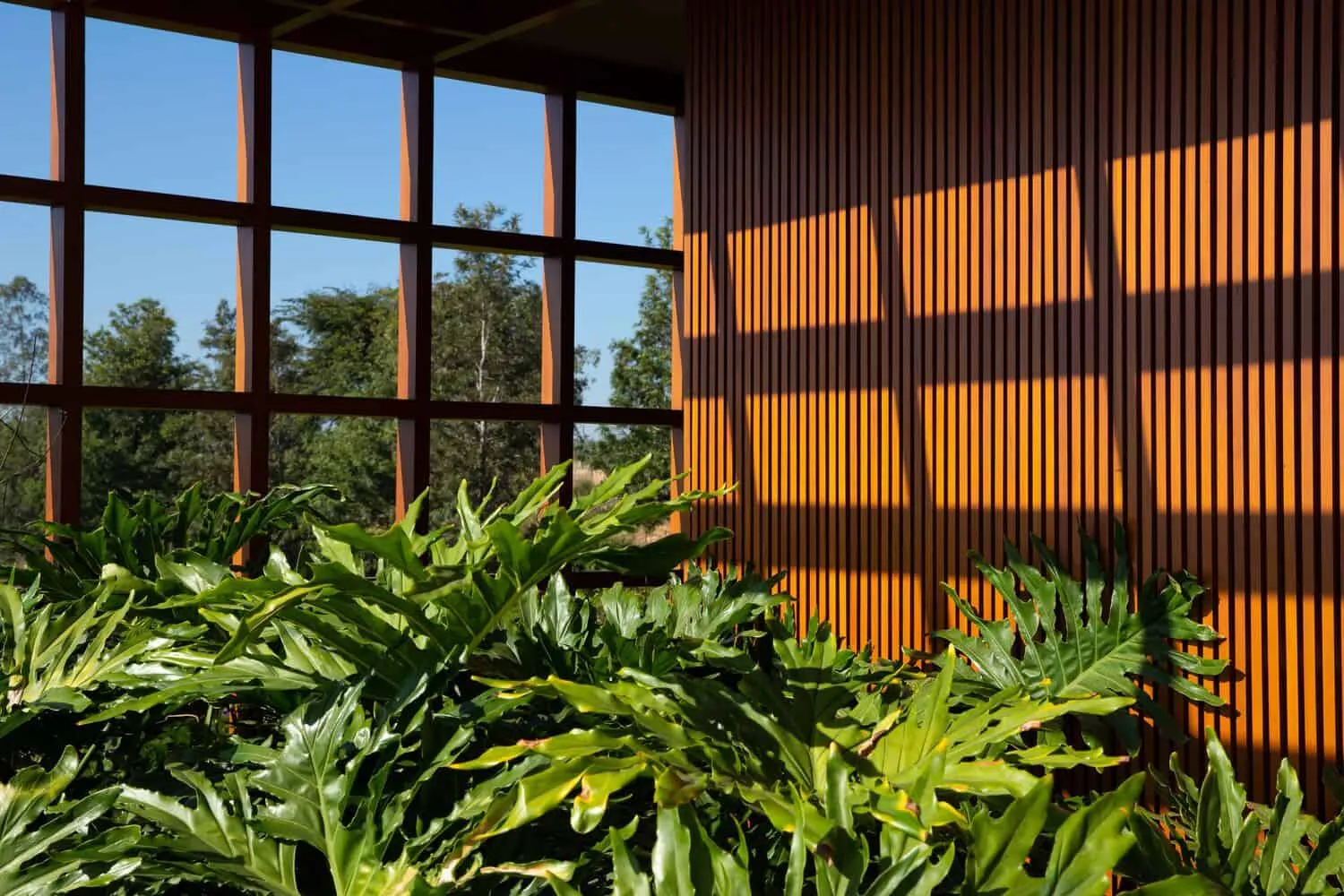 布朗宁斯之家由帕布洛·兰萨建筑事务所设计——门廊阴影细节，伊图