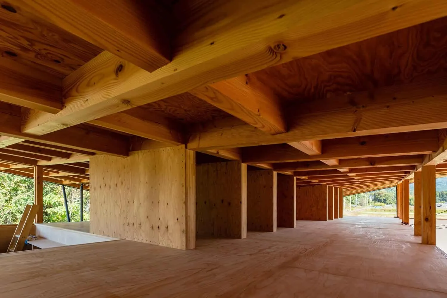 哈萨马乔住宅 | 川本拓也 + Associates | 日本