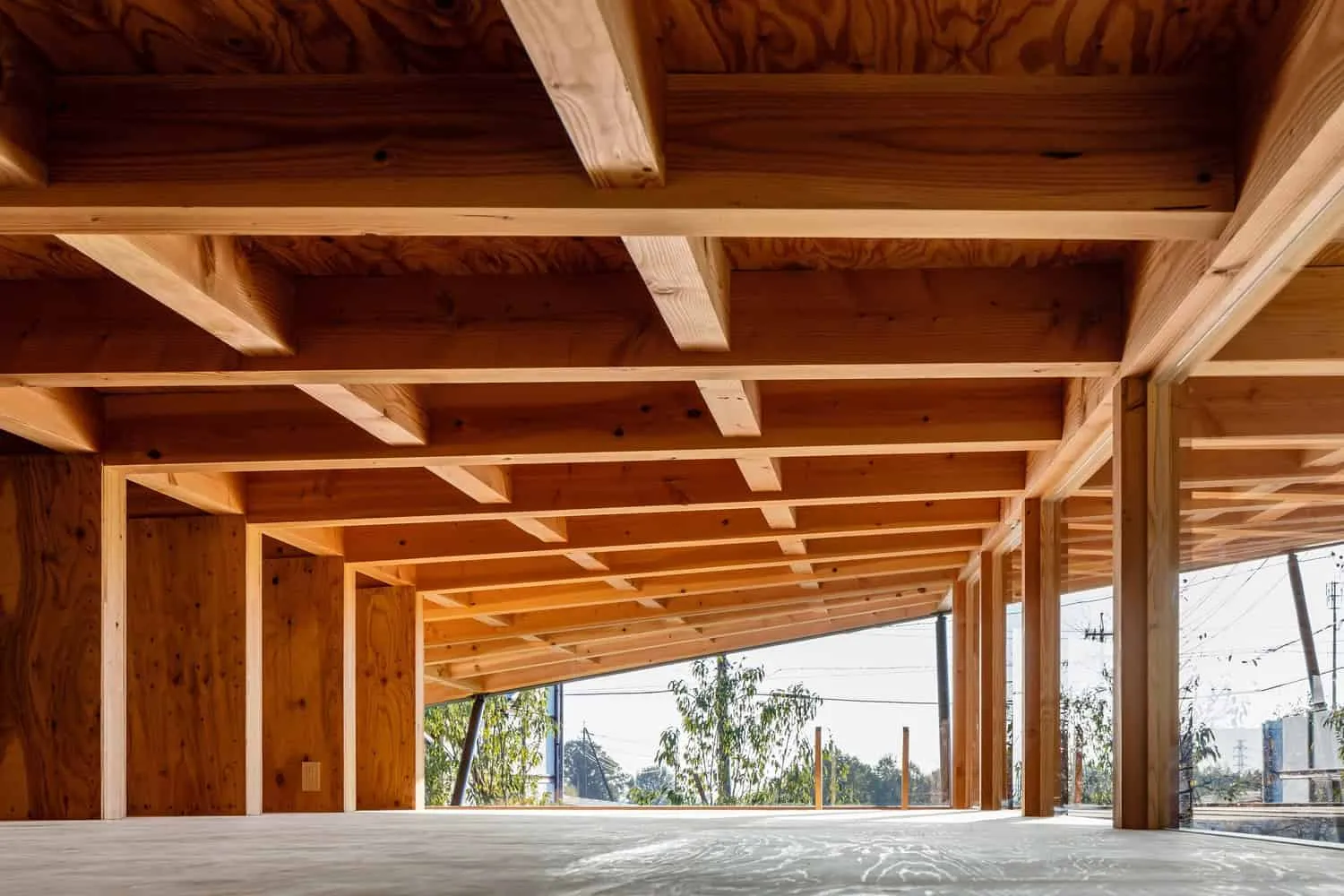 哈萨马乔住宅 | 川本拓也 + Associates | 日本