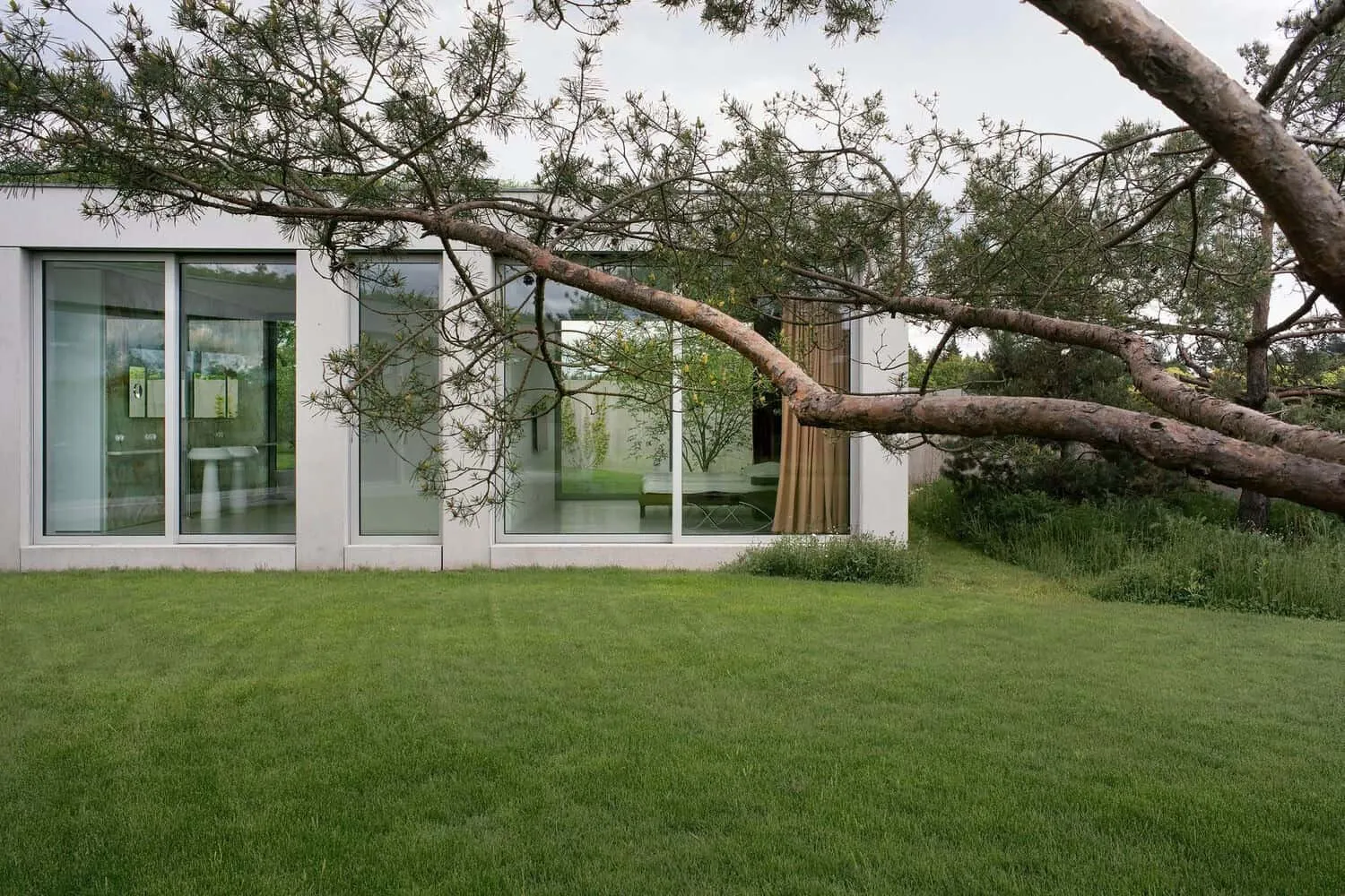 Modern minimalist house with large glass windows and strict white facade surrounded by green grass and mature trees, showcasing modern architecture and eco-friendly design.