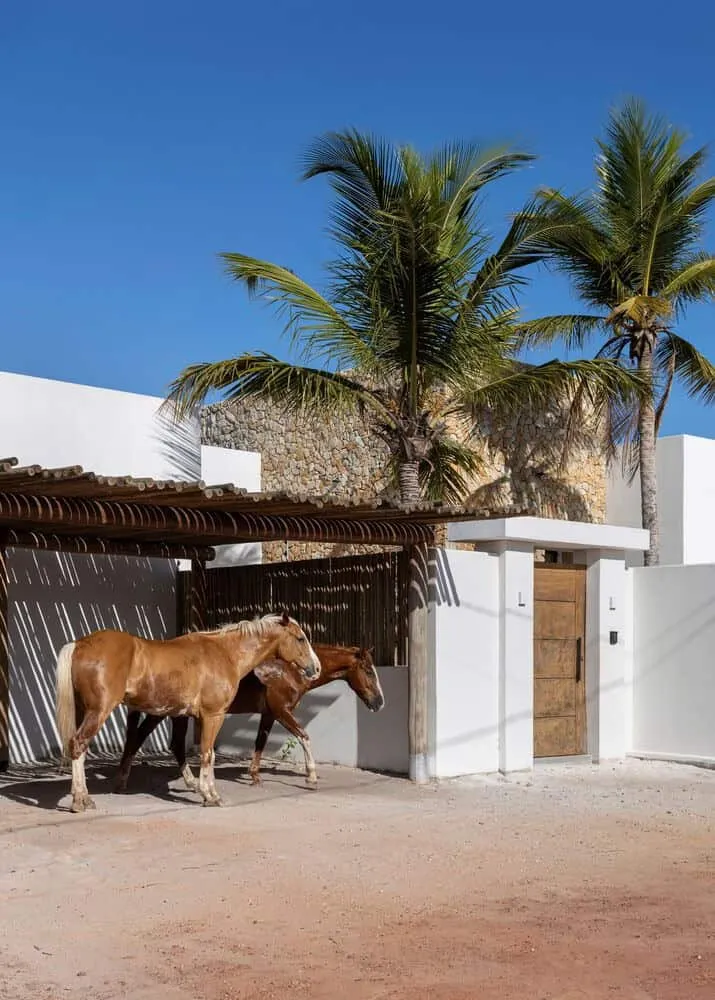 Sussurro House | Architect Davide Andracco | San Miguel do Gostoso, Brazil