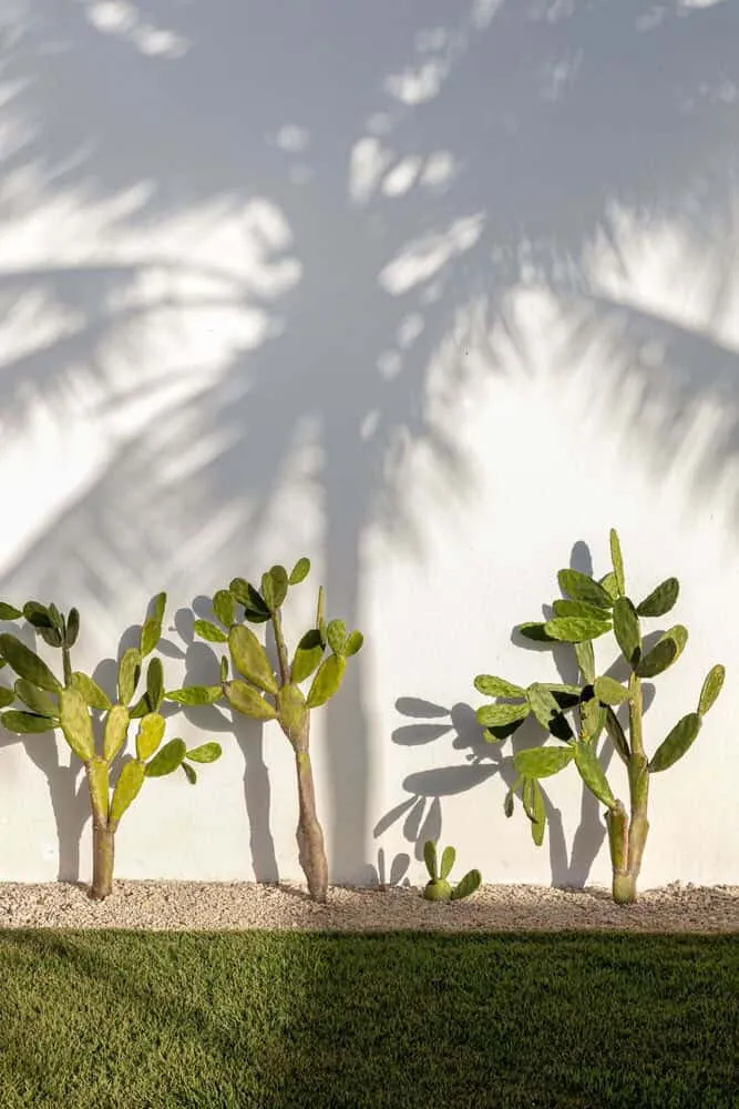 Sussurro House | Architect Davide Andracco | San Miguel do Gostoso, Brazil