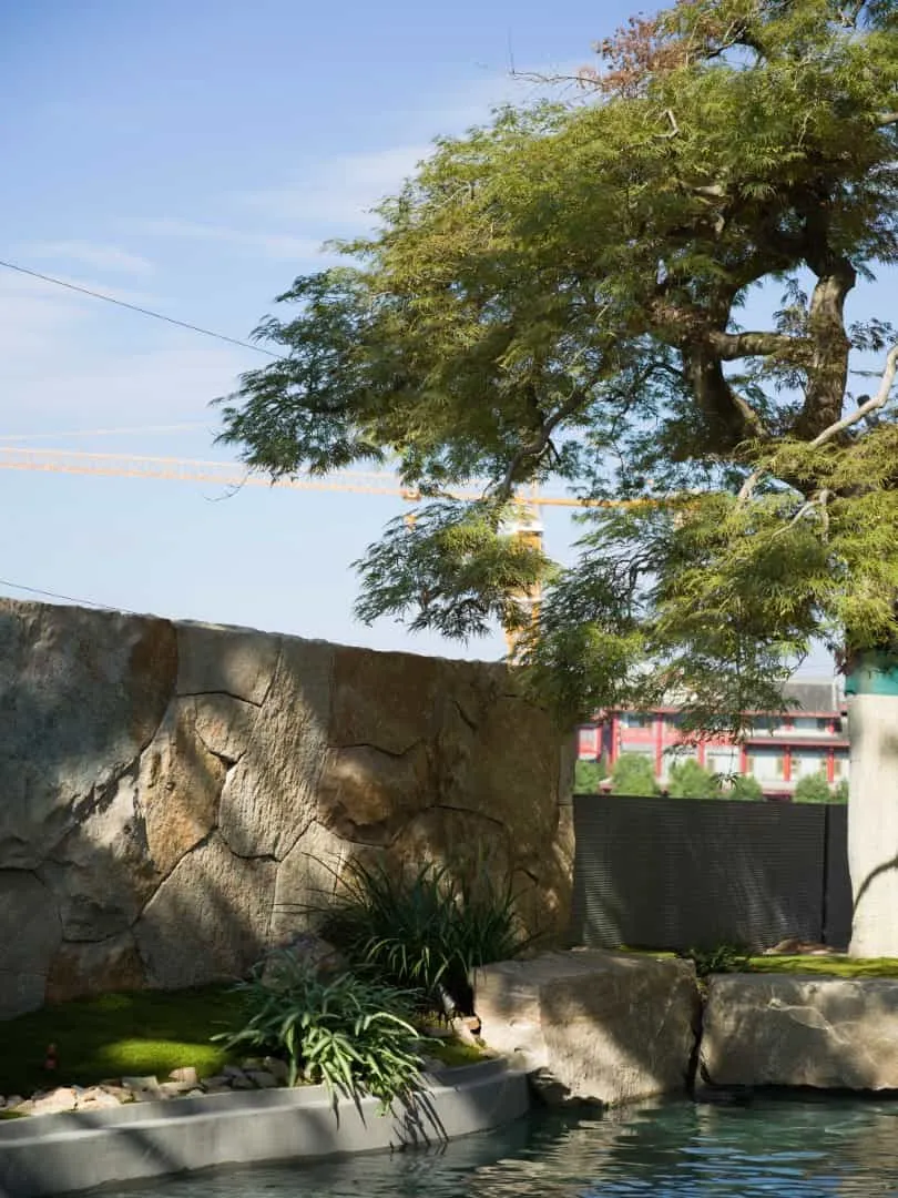 成都GROWTO Design梦幻岛屿