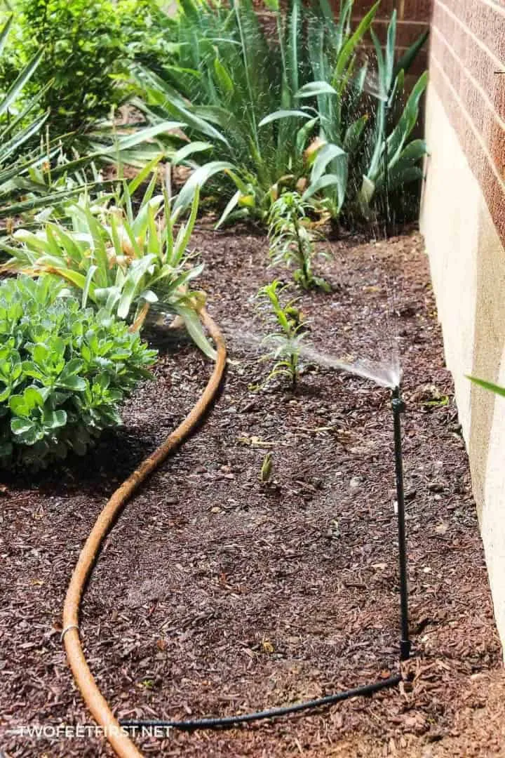 5. DIY Drip Irrigation System