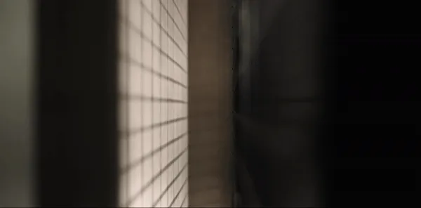 Poetic Garden by BDSD Boundless Design: Where Architecture Becomes Poetry