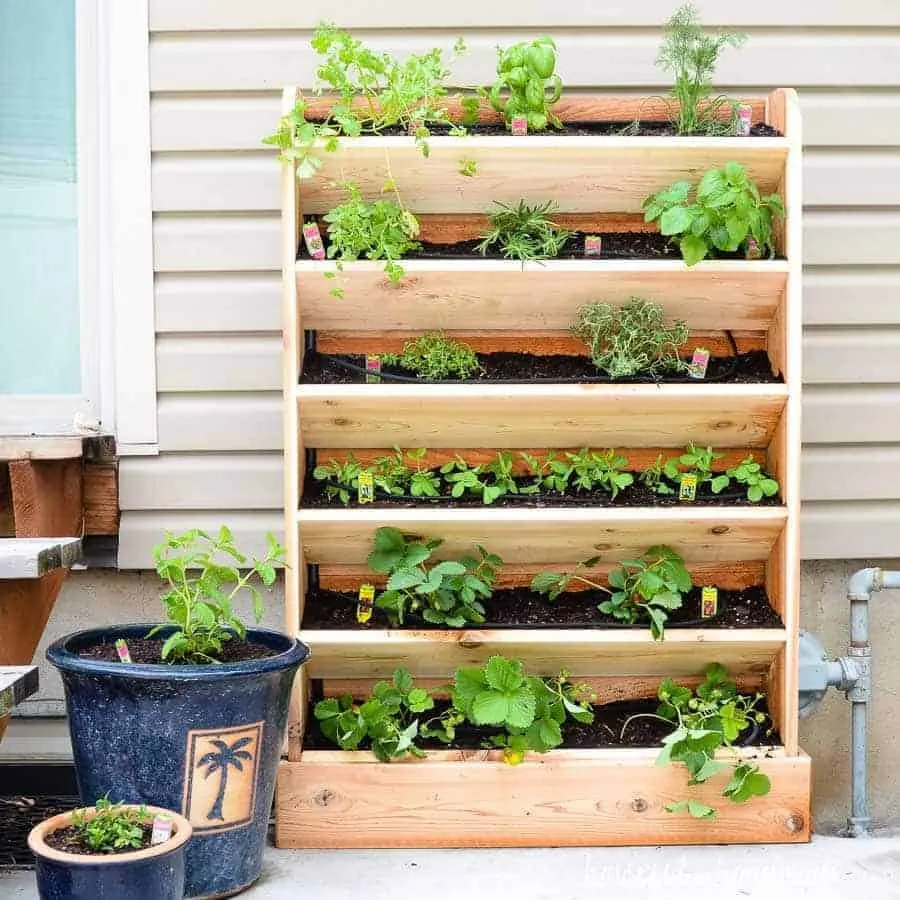 10. DIY Vertical Garden with Drip Irrigation