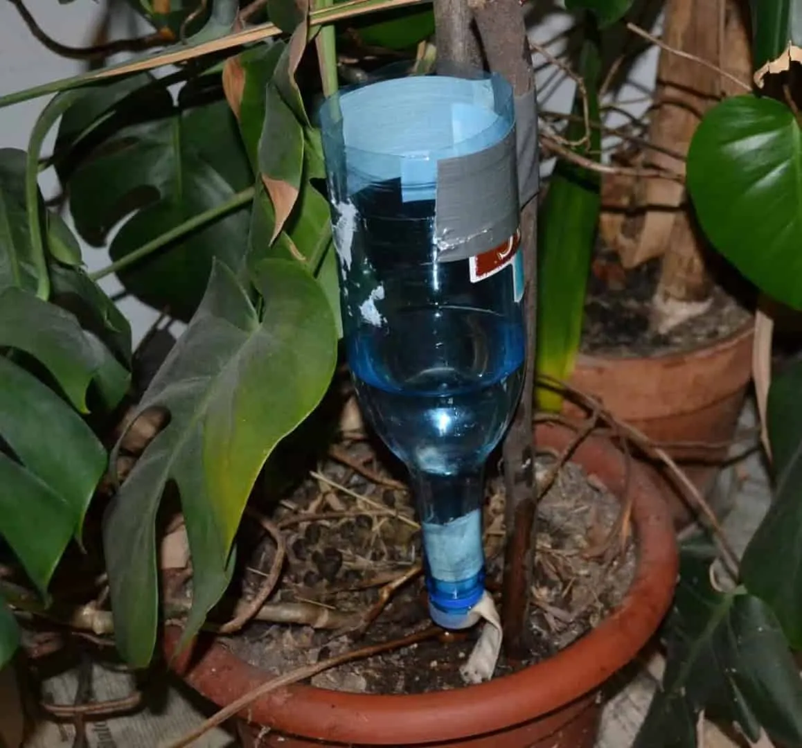 7. Adjustable DIY Drip Irrigation System