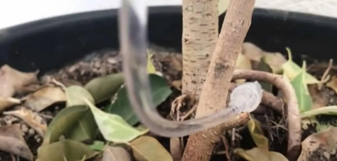 15. Drip Water Supply System