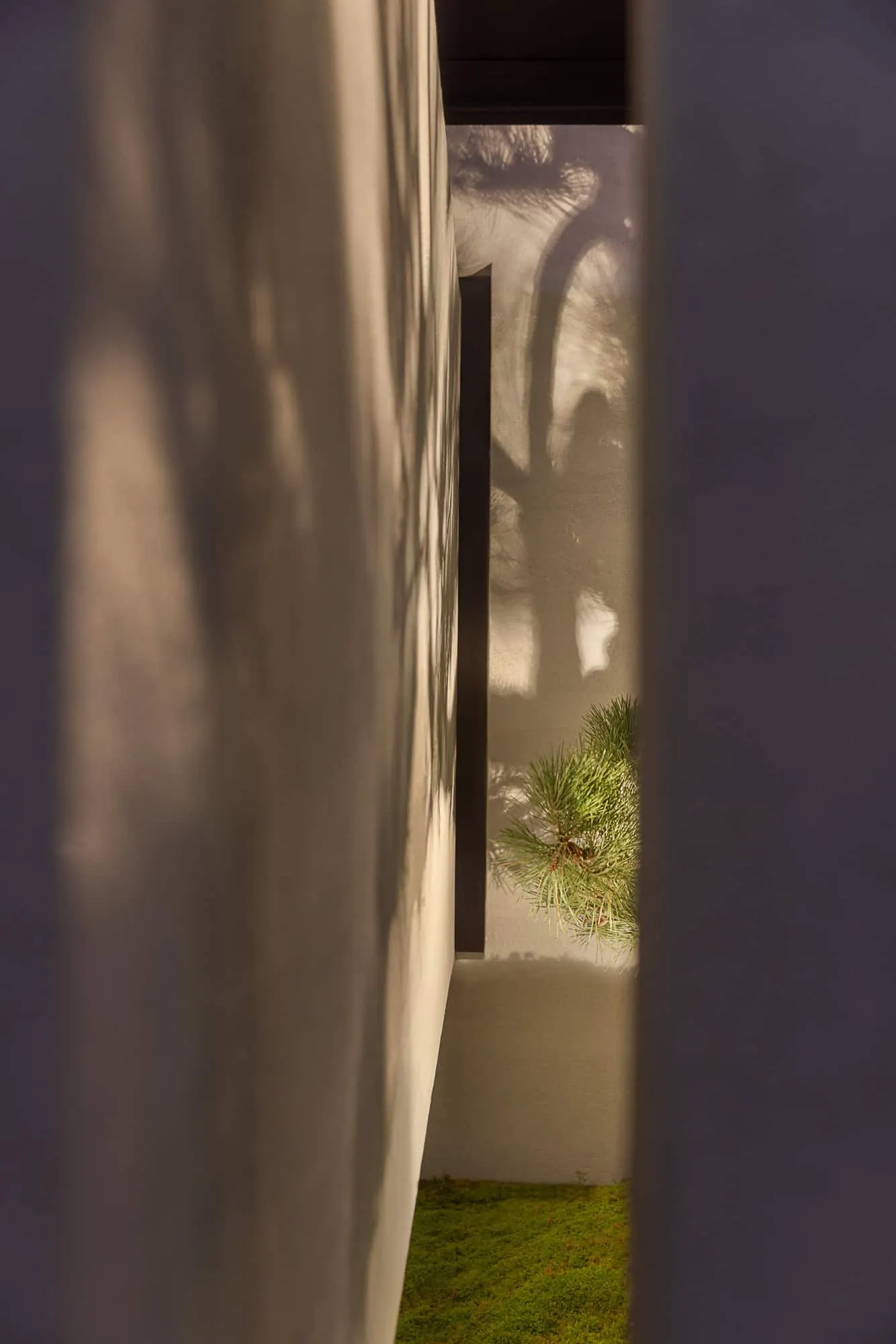 Poetic Garden by BDSD Boundless Design: Where Architecture Becomes Poetry