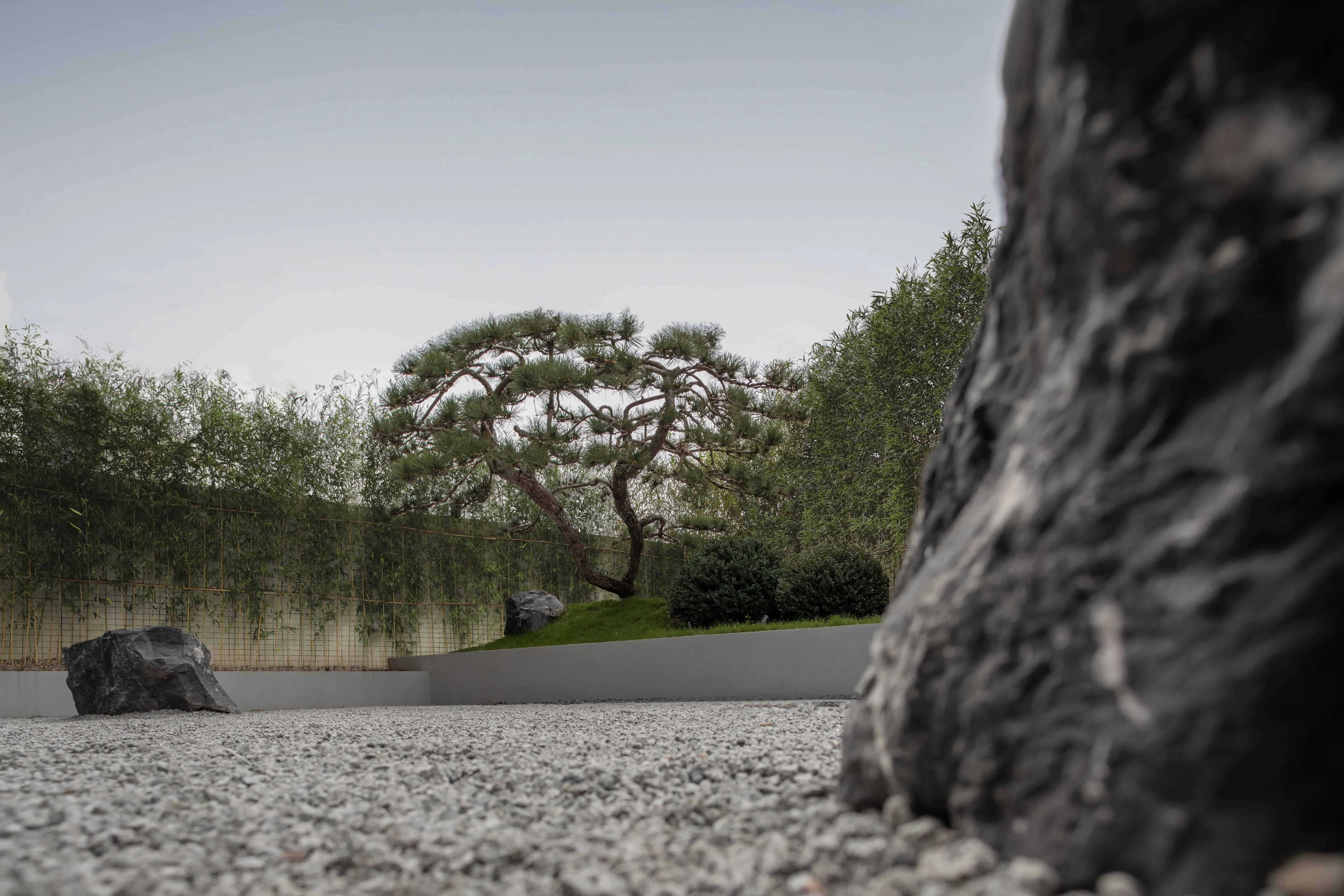 Poetic Garden by BDSD Boundless Design: Where Architecture Becomes Poetry