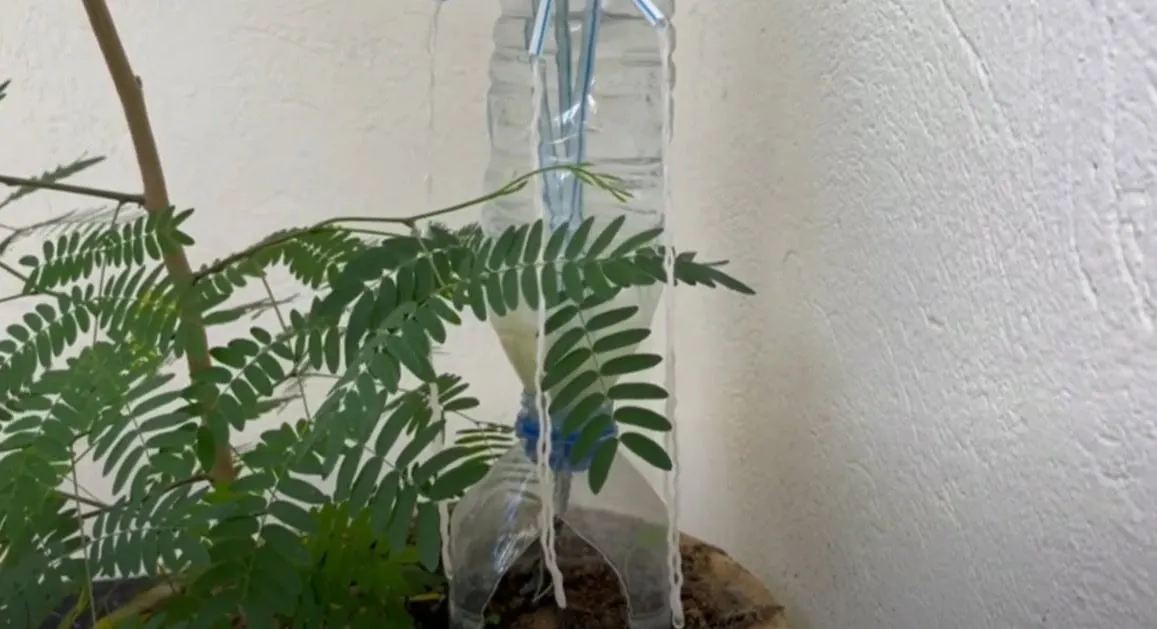 14. DIY Drip Irrigation System