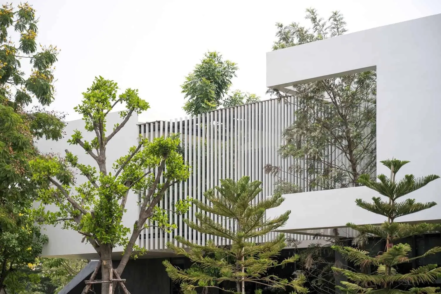 山丘上的房子 | HAA Studio | 泰国猜也奔府