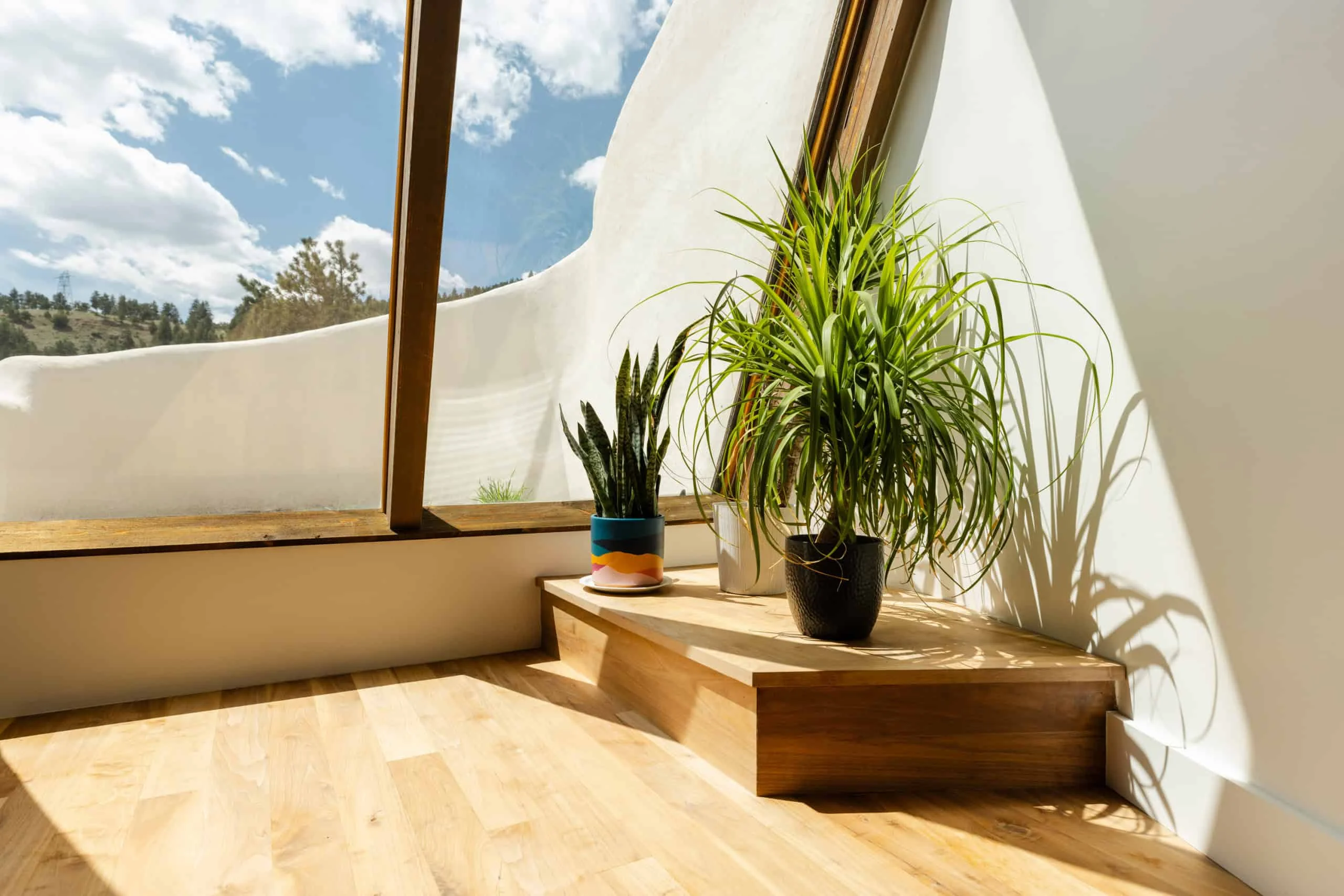 几何图案与鲜艳色彩