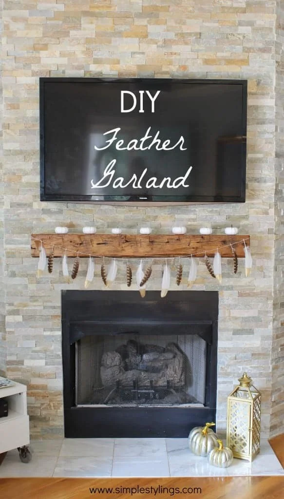 Lámpara con bordes dorados y plumas