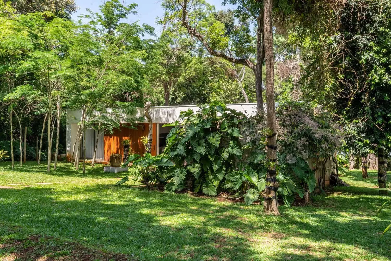 马特乌斯·蒙泰罗的蒙泰罗之家：巴西温馨海滨居所