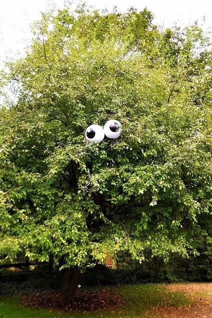 Candelas flotantes para un brillo mágico