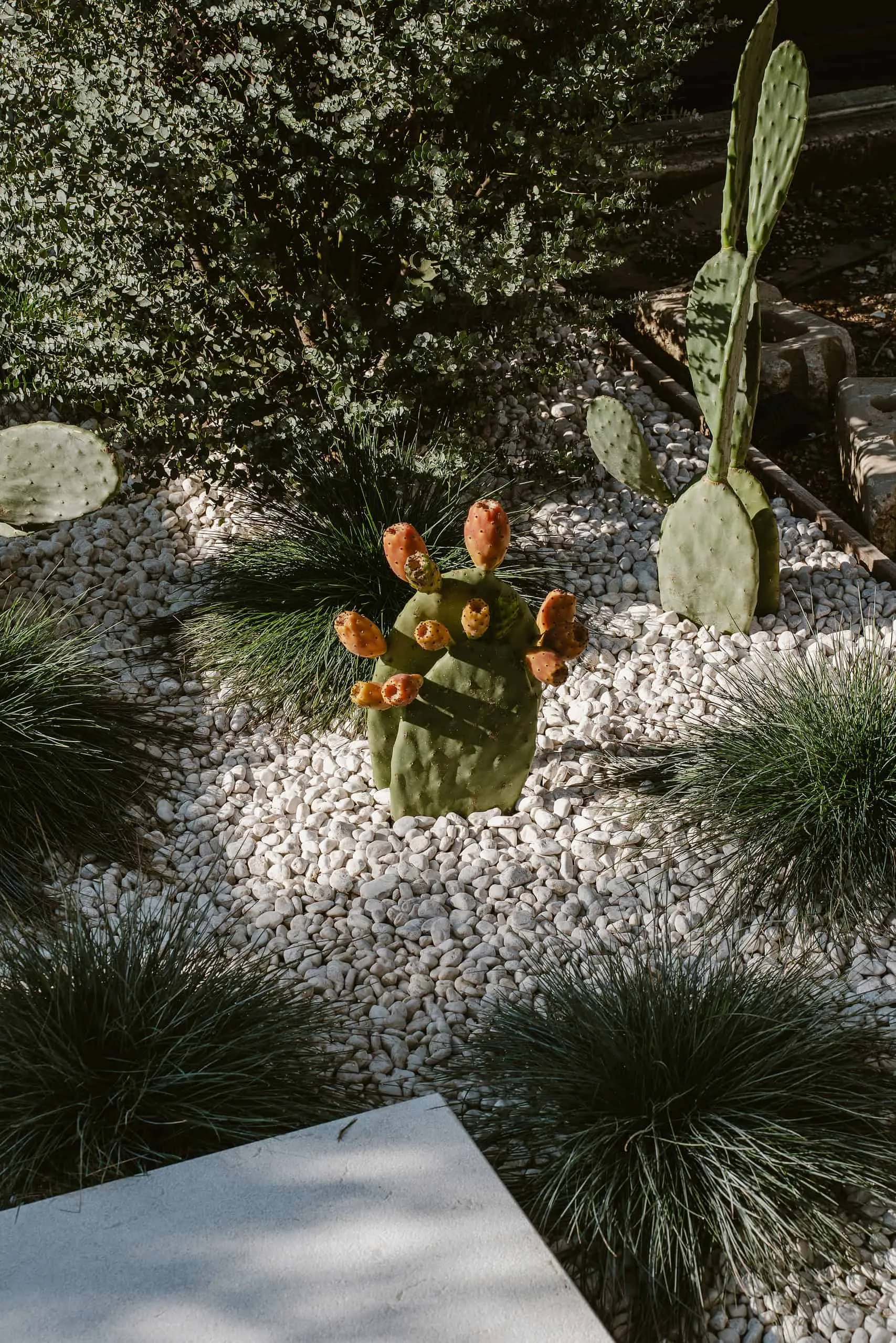 F+C住宅 | 米歇尔·佩里尼 | 意大利韦罗纳