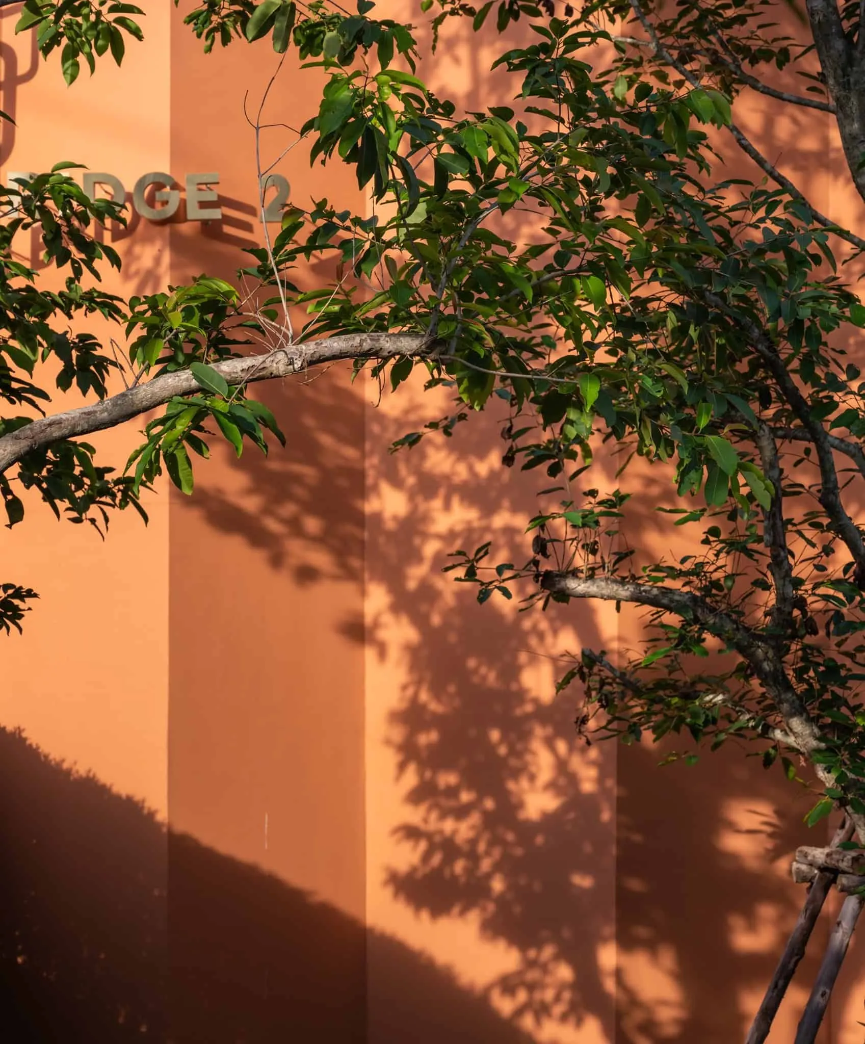 AP CENTRO CLUB | WARchitect | Бангкок, Таиланд