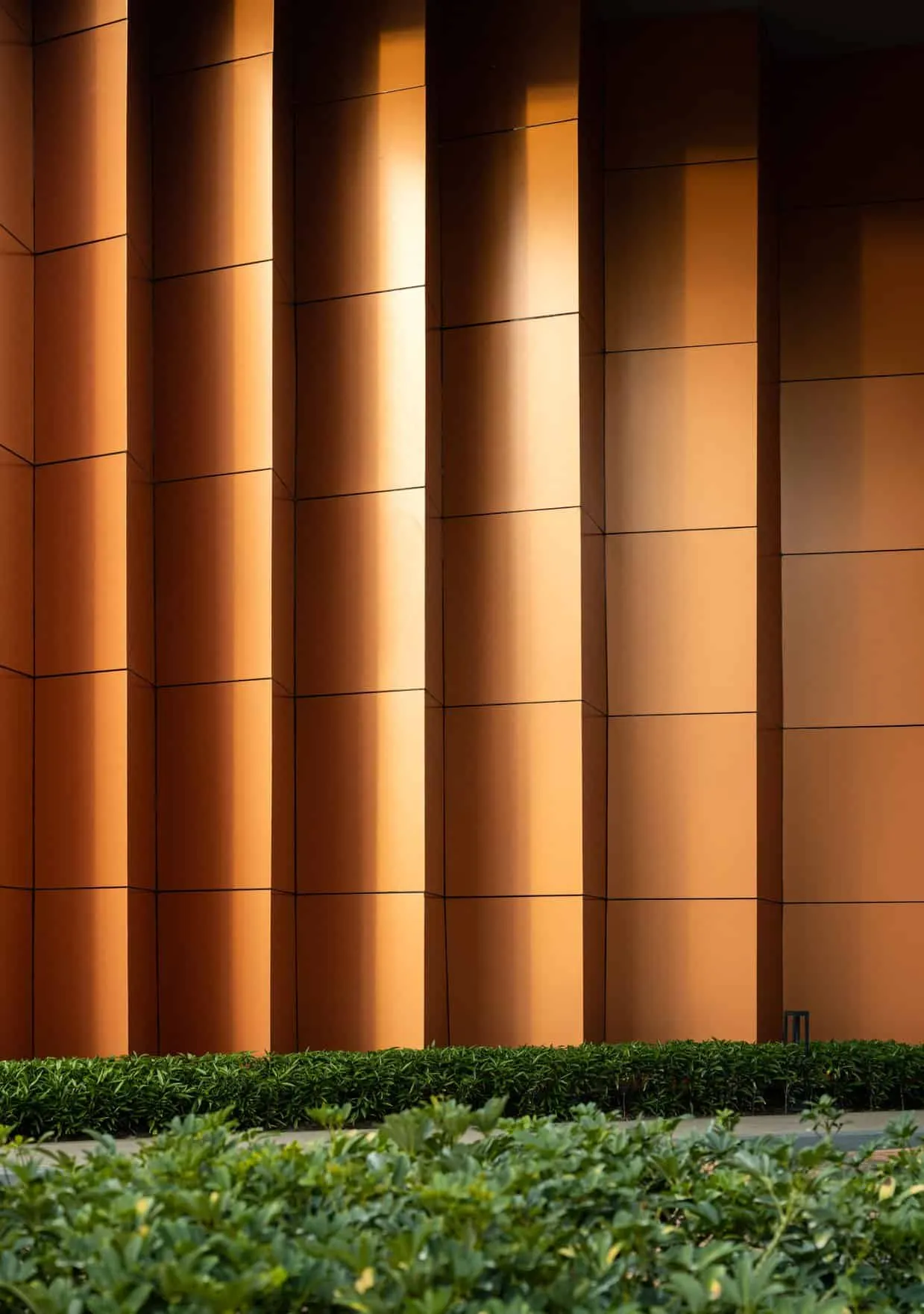 AP CENTRO CLUB | WARchitect | 曼谷，泰国