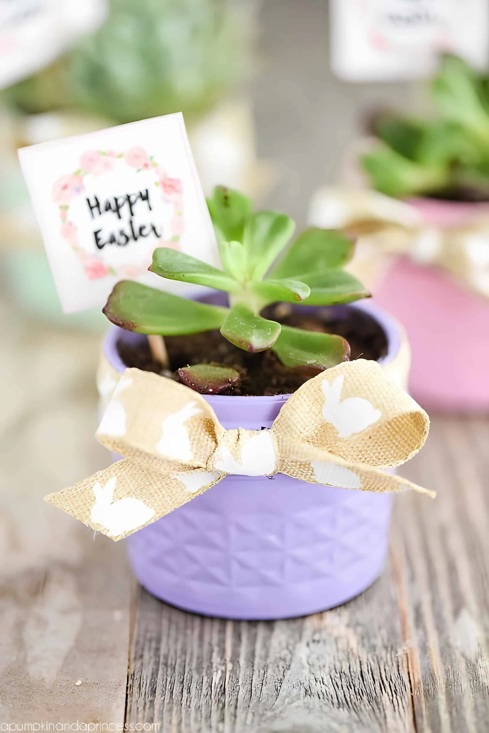 手工复活节多肉植物花盆，涂成紫色并有节日标签