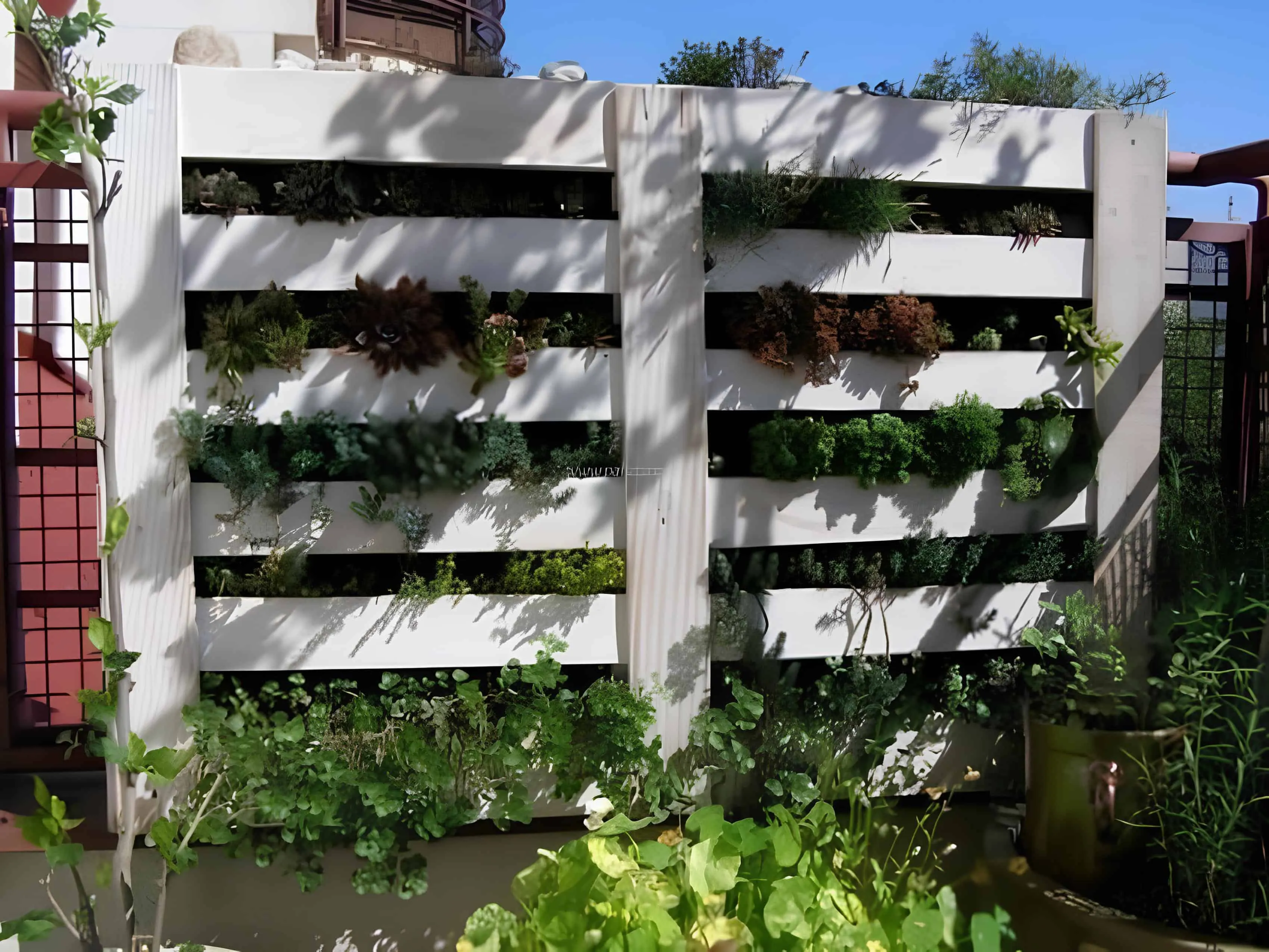 白色涂装的托盘墙，带有草药之间的条纹