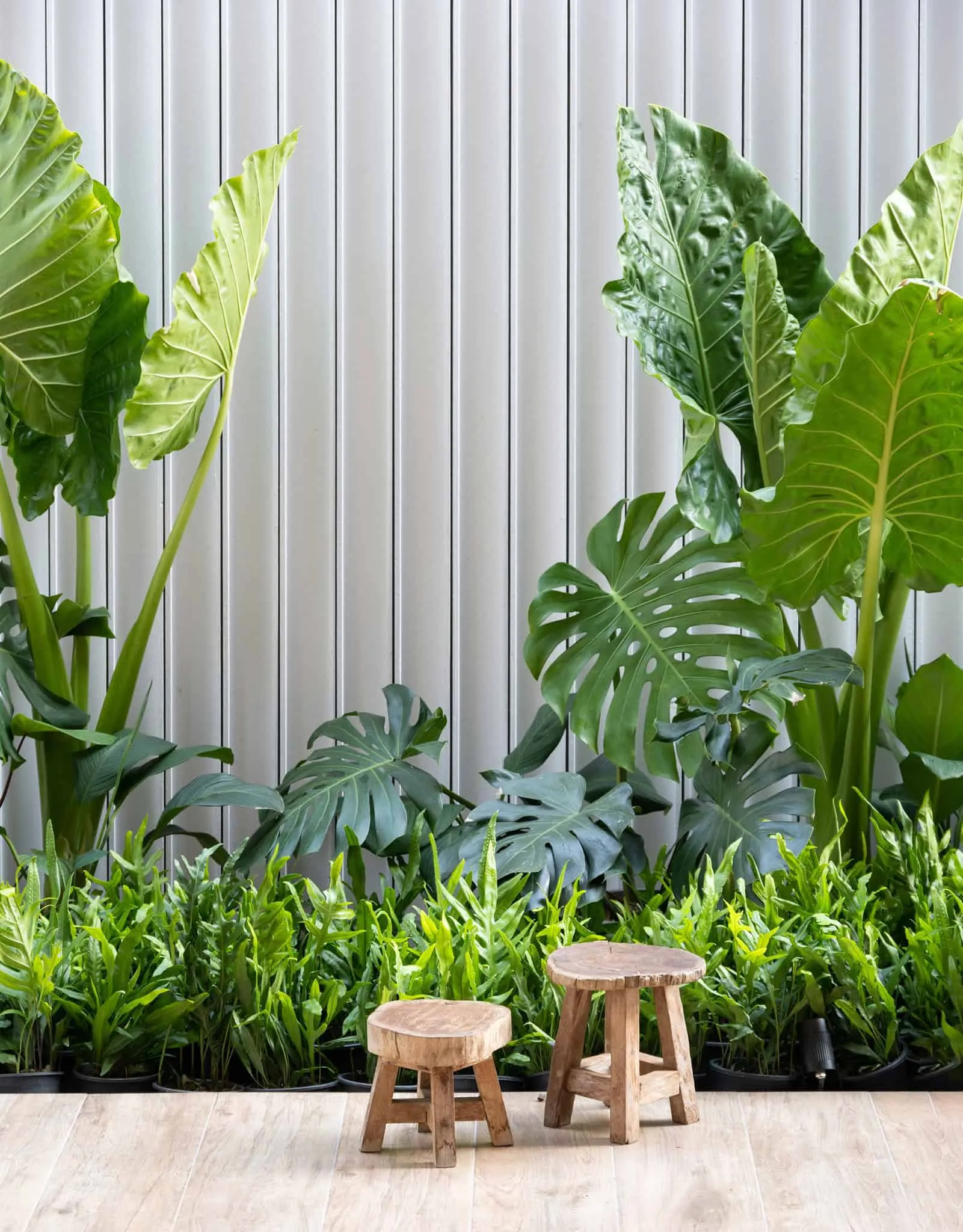 Повний будинок | WARchitect | Бангкок, Таїланд