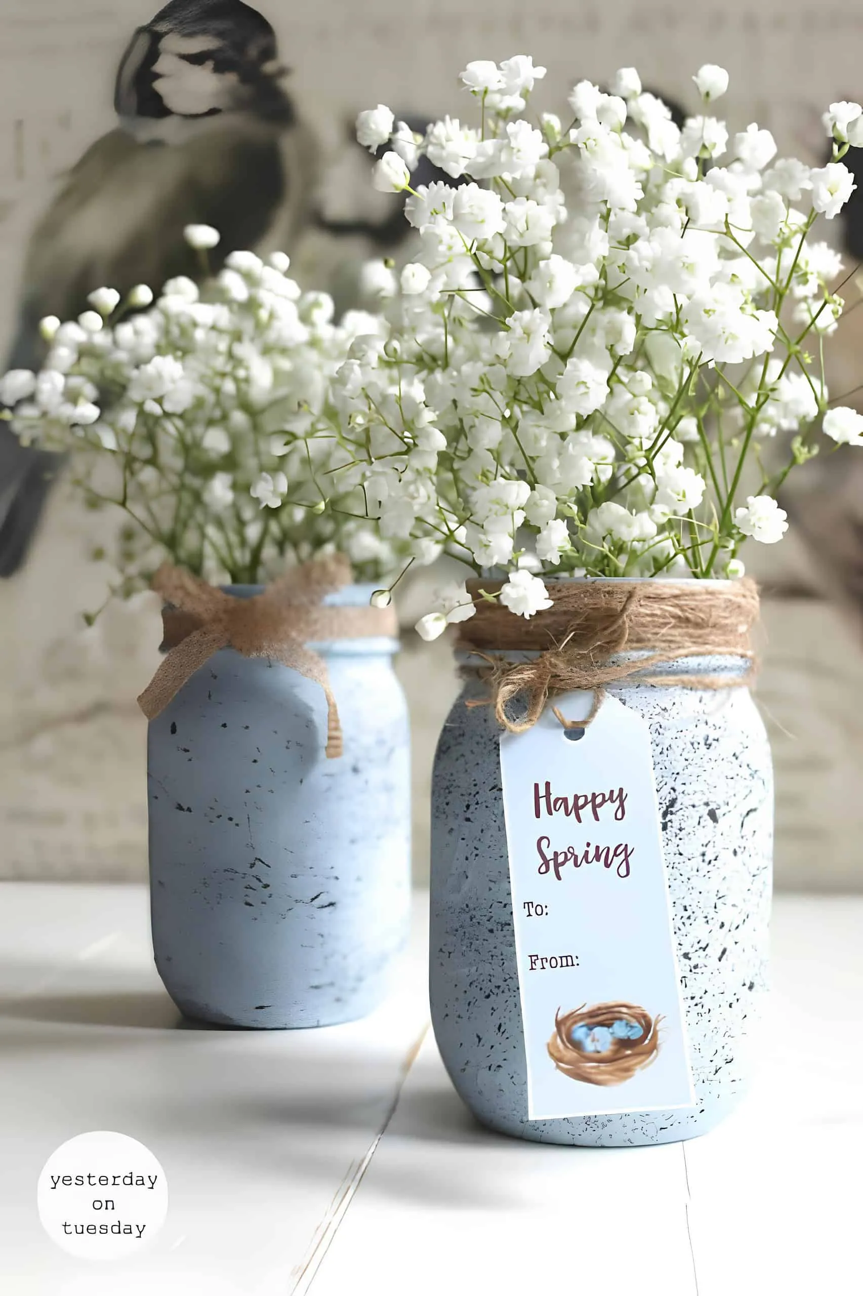 手工春季 Mason 罐子，蓝色涂色并装满蝴蝶花