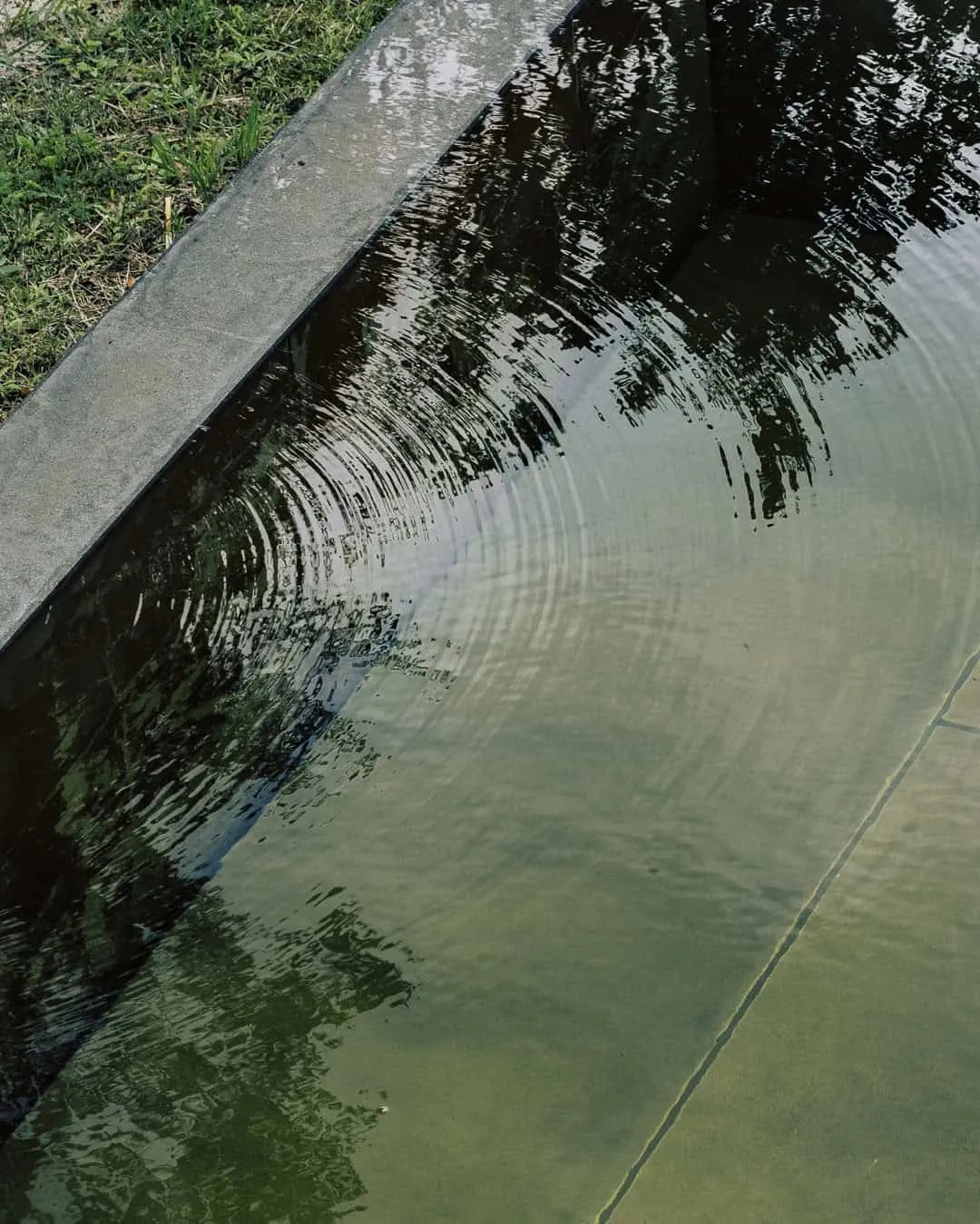 兰迪的现代木屋由Mod Cobet设计 反射池中的水波细节。