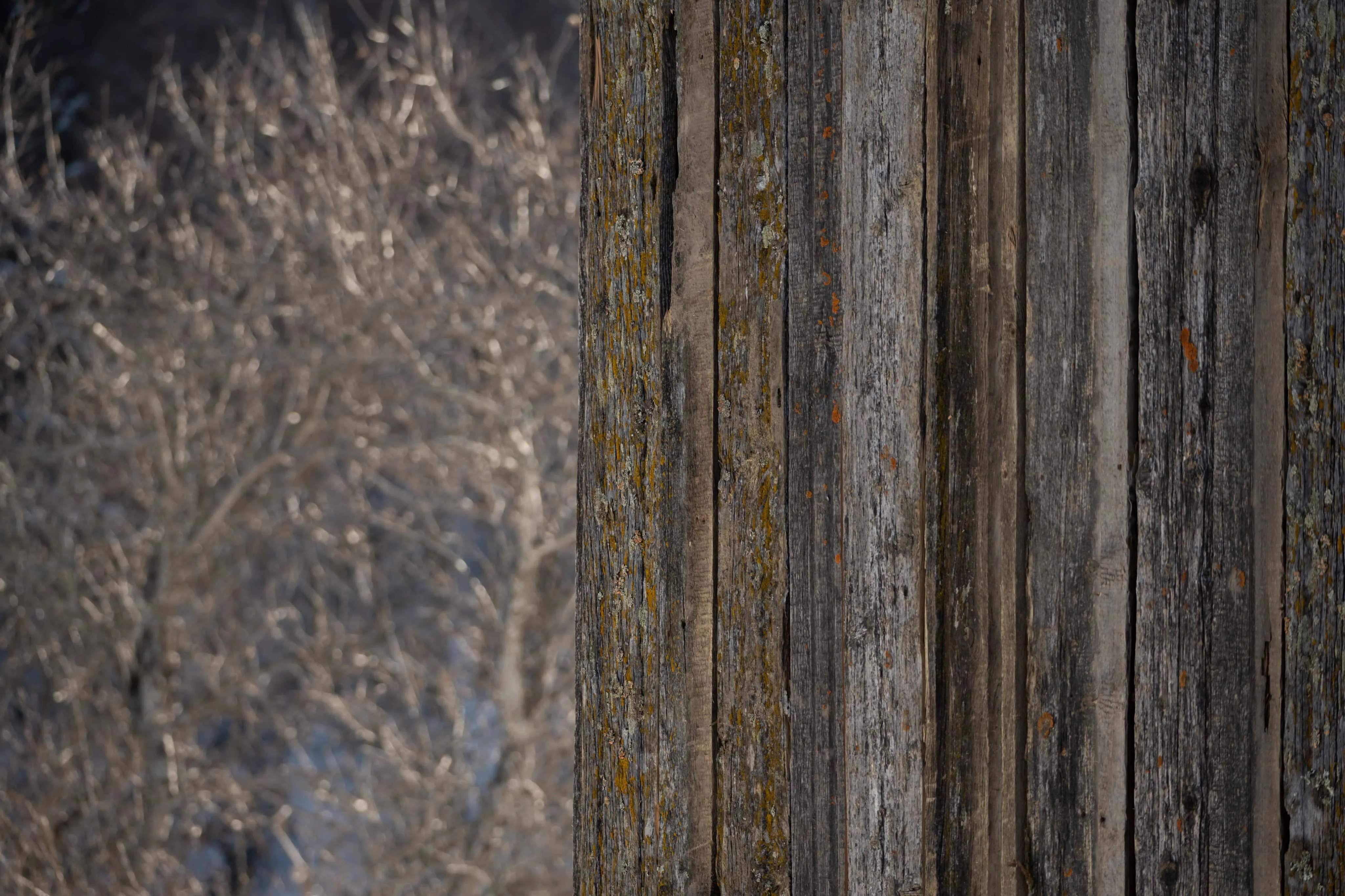 小屋立面磨损的垂直木板纹理特写。