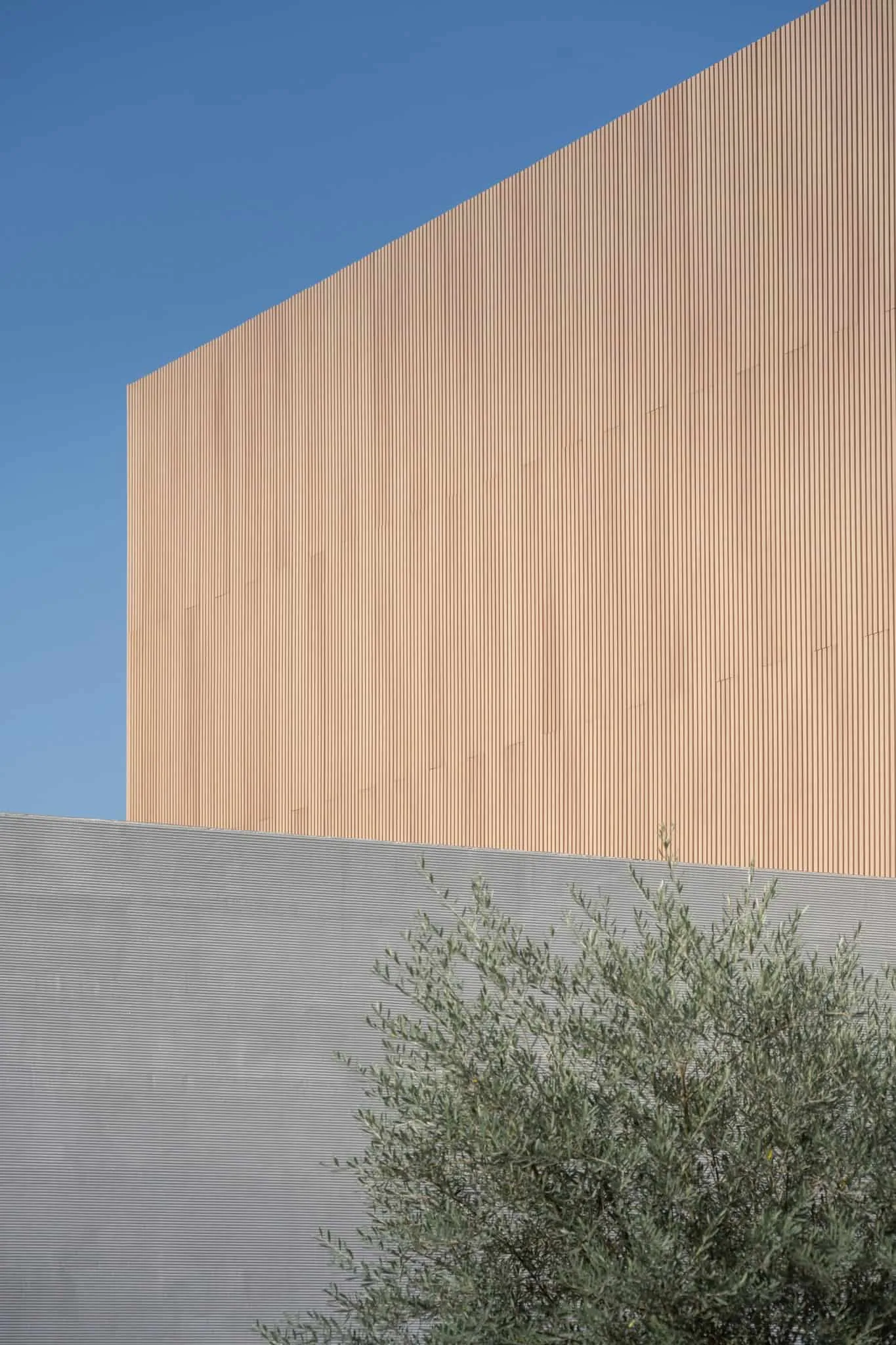 TE Residence（极简主义）| WARchitect | 曼谷，泰国