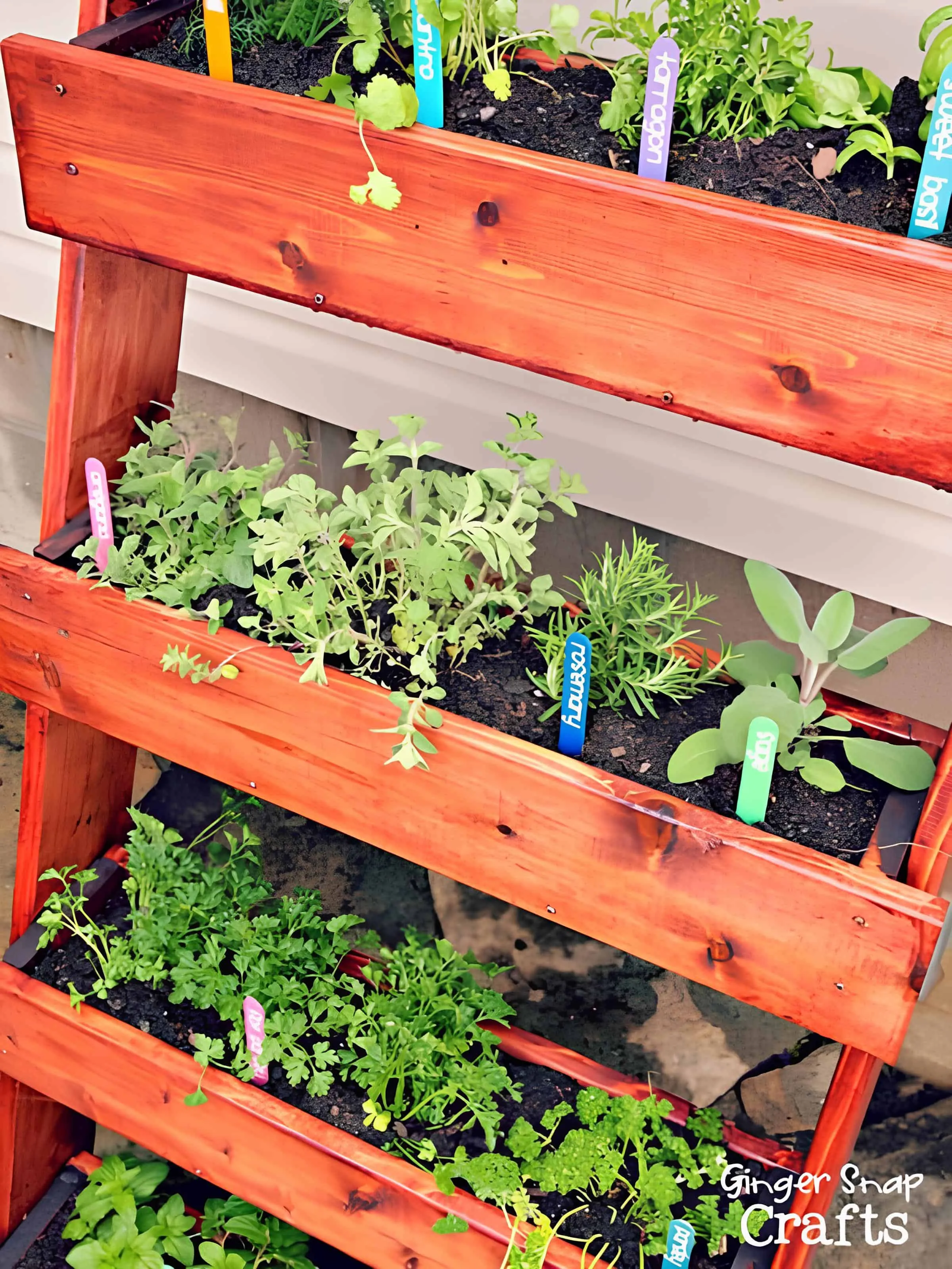 用处理过的托盘木制作的垂直草药架