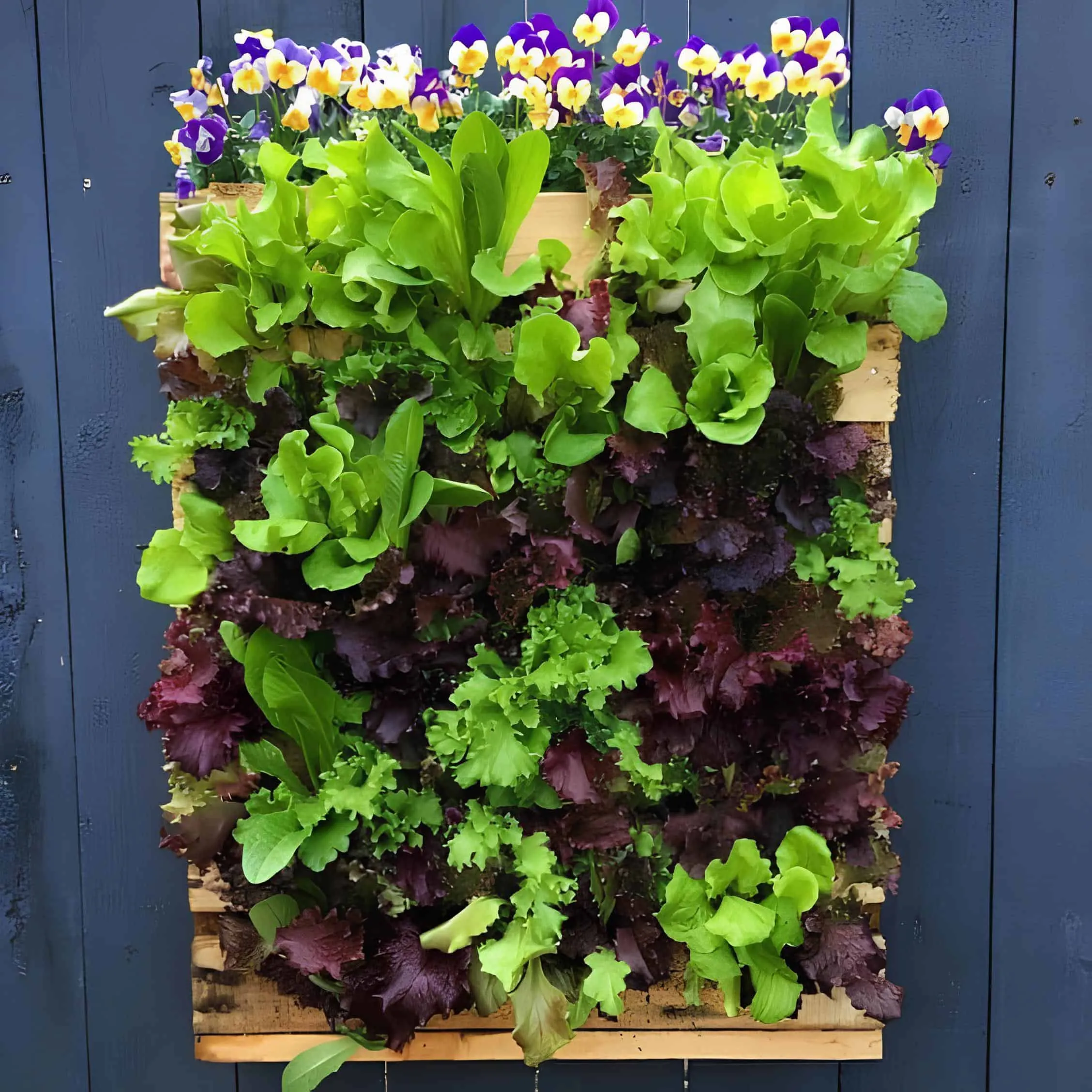 装满鲜艳绿色和紫色叶片的木托盘